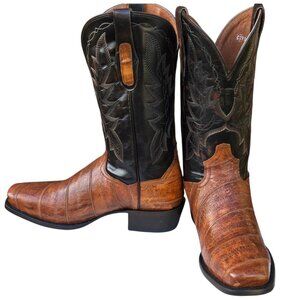 Dan Post Cowboy Boots Mens Exotic Eel Leather Brown Two Tone 8.5 D Never Worn